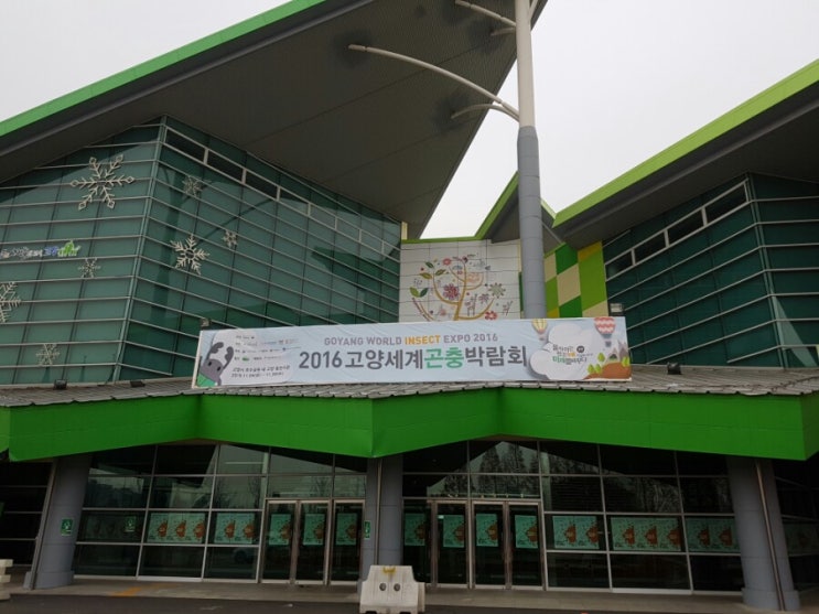  2016 고양세계곤충박람회 일산 체험학습
