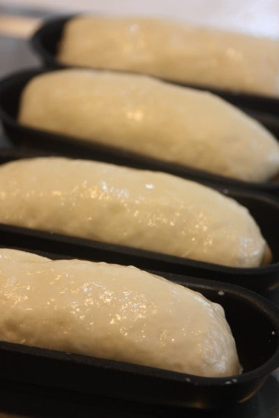 밀크앤치즈 이미지