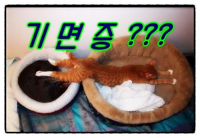 기면증 자가진단 테스트와 개선방법 알아보장