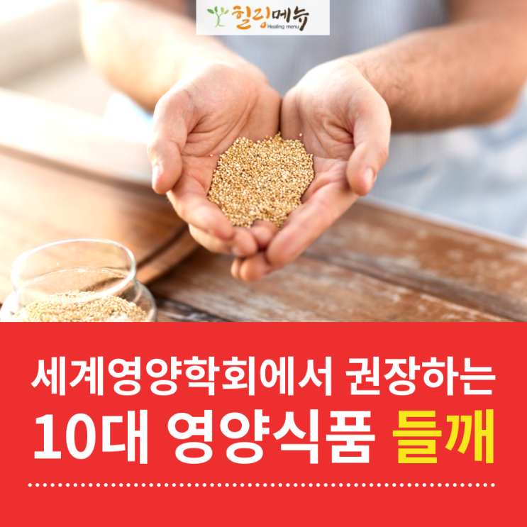 세계 영양학회에서 권장하는 10대 영양 식품 들깨