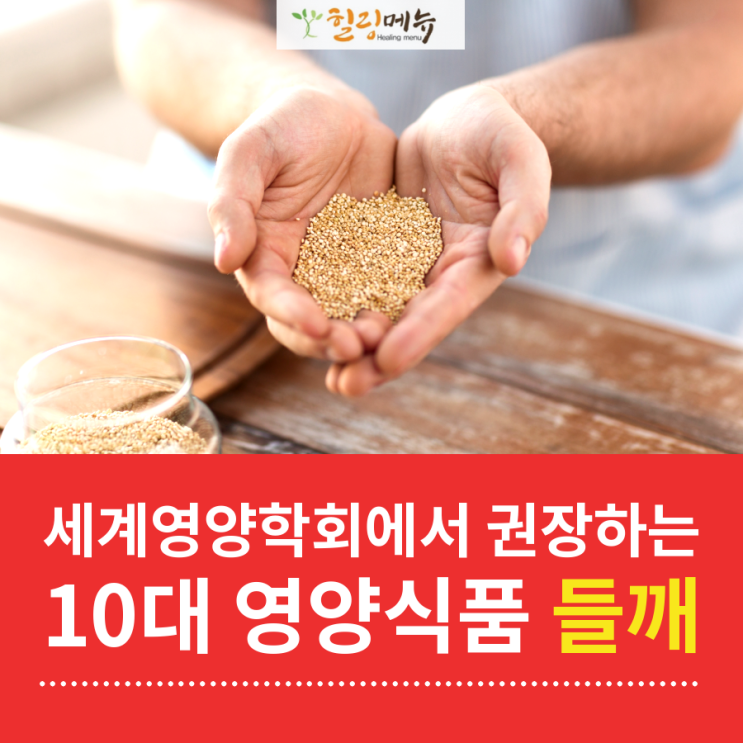 세계 영양학회에서 권장하는 10대 영양 식품 들깨