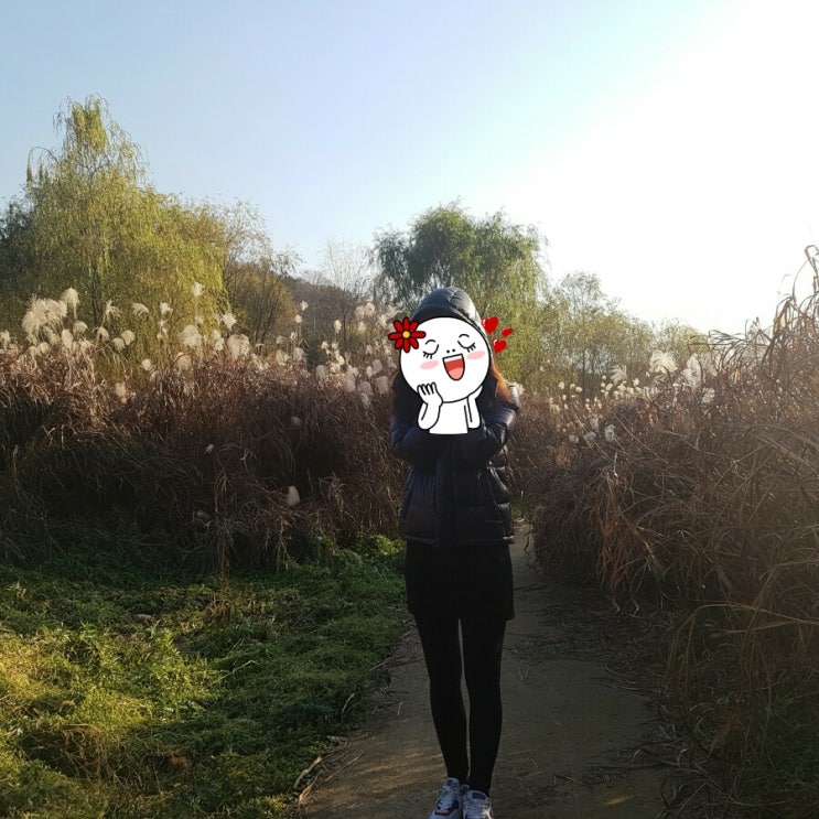  기분 좋음 ㅋㅋㅋ