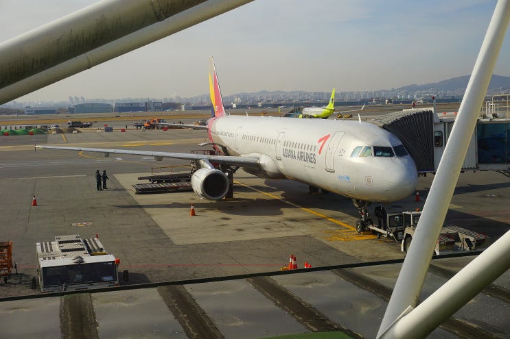  나홀로 제주 여행 I(공항,새별오름,나홀로나무)