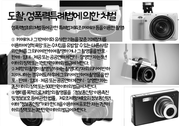  카메라 등을 이용한 성범죄(도촬,몰카)