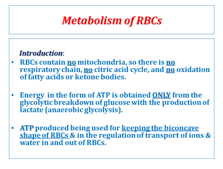 Metabolism Of Red Blood Cell 네이버 블로그
