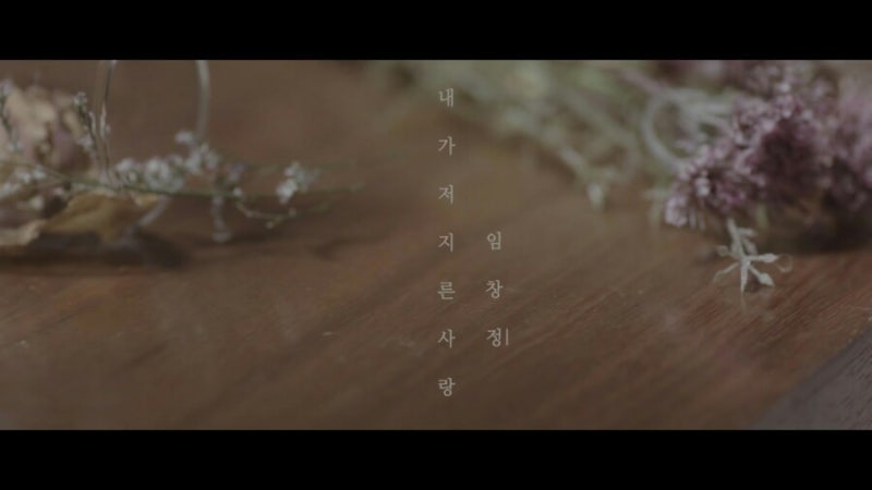 임창정 내가 저지른 사랑