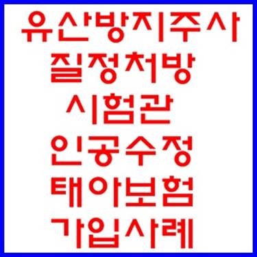  태아보험 시험관 인공수정 유산방지주사 질정처방  임신13주 산모님 가입사례