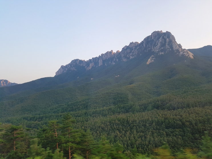  여름 속초, 양양 여행 I(속초해수욕장, 영금정)