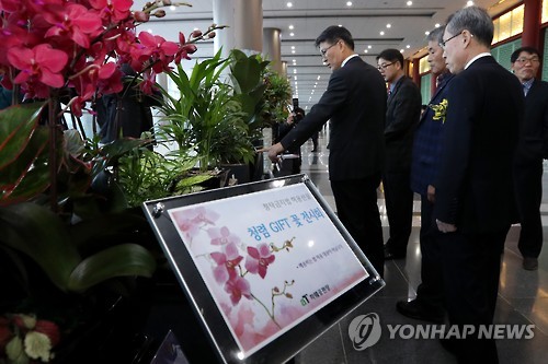 장례식장 근조 화환 재활용 잇단 '무죄'…화훼업계 '울상' 장례식장 근조 화환 재활용 잇단 '무죄'…화훼업계 '울상'