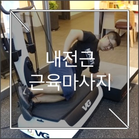  [운동기구/중력가속운동기구] 바이브로짐을 이용한 근육 마사지