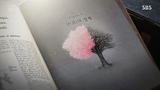  낭만닥터 김사부 9회 선(善)의 경계편 보고 왔어요.