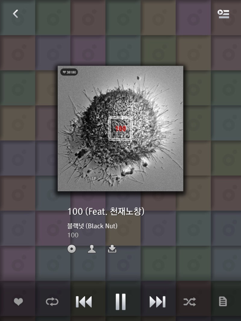 블랙넛-100(feat.천재노창) 가사 ,듣기
