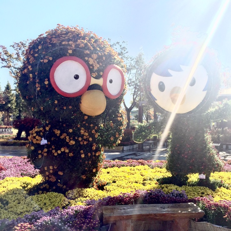  양산 워터파크 국화축제~^^