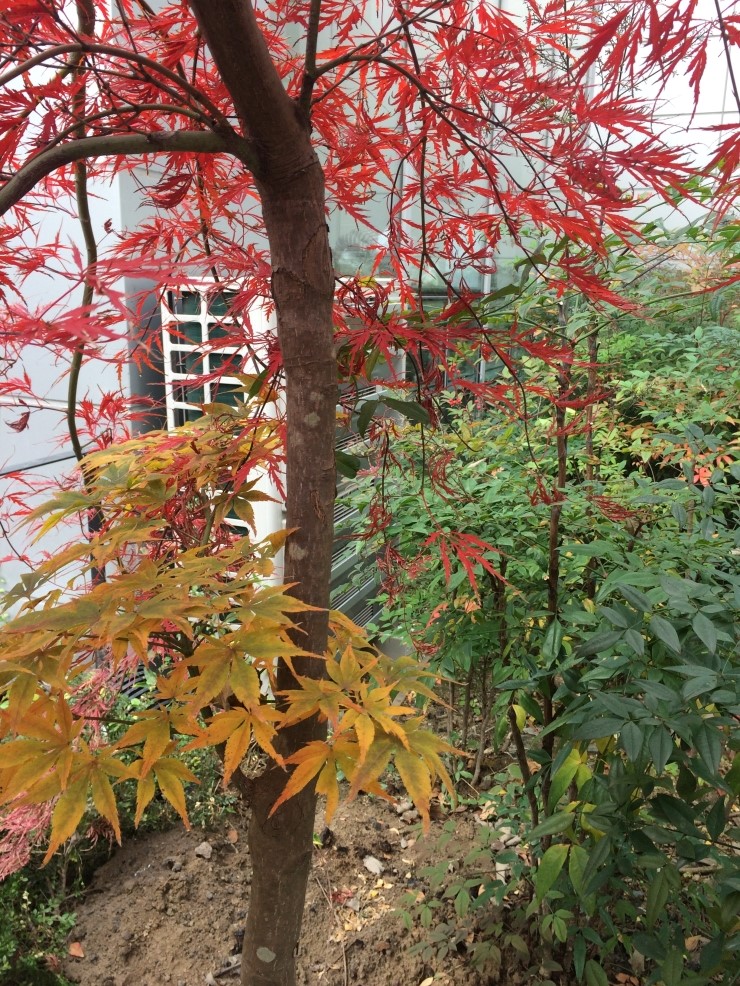  2016.12.08 빨강노랑초록