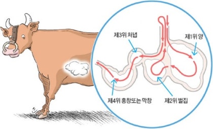 호사양곱창 이미지