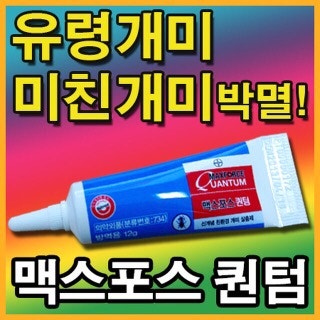 맥스포스퀀텀 왜 이렇게 비싸~!