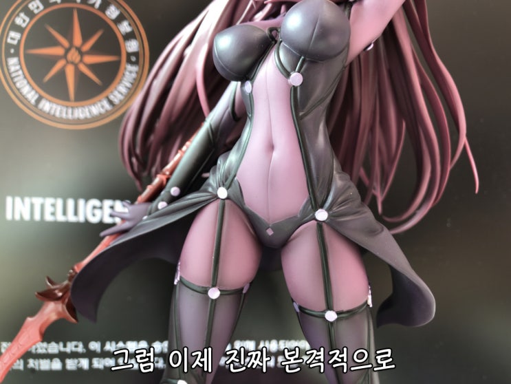 피규어 개봉기