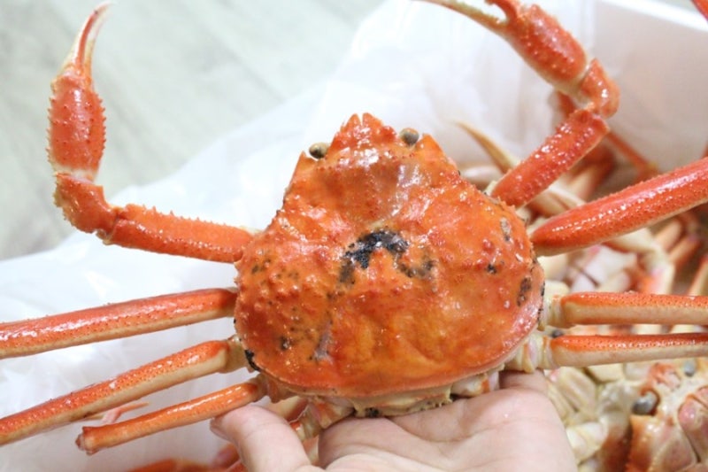 영덕대게 - 영덕대게택배 직배송 진짜 맛 굿