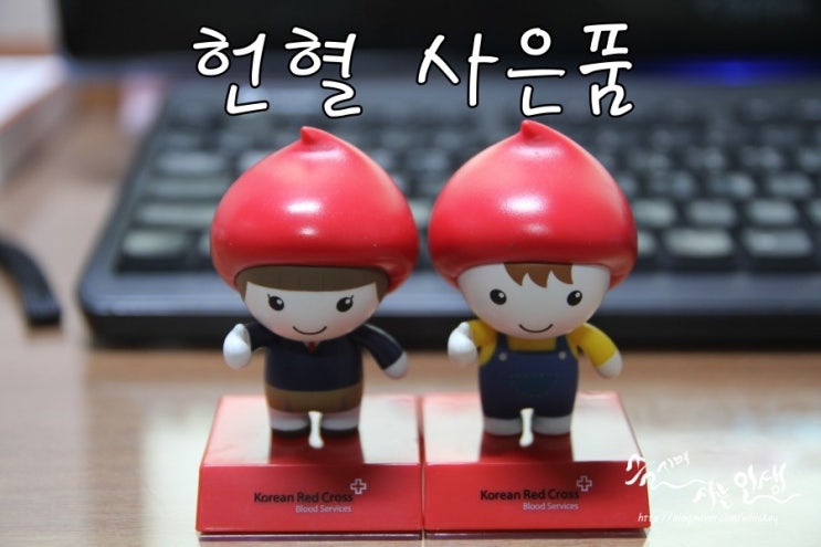  [헌혈 사은품] 광화문 헌혈의 집에서 헌혈하고 나눔이 피규어 득템