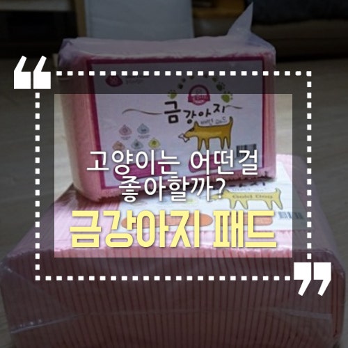 [배변패드 비교!] 깔끔한 고양이가 사용하는 금강아지 vs Ace Pad