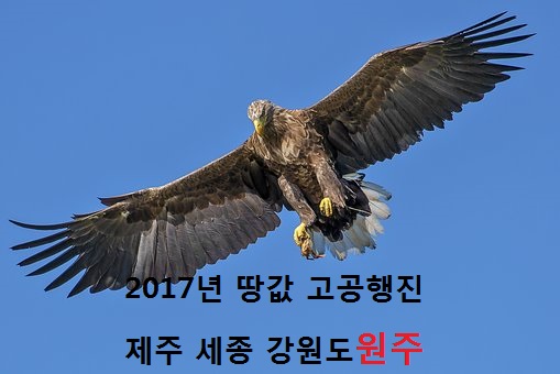 “내년 땅값 올라갈 것…수도권·제주·강원·부산 상승세 가파를 것"