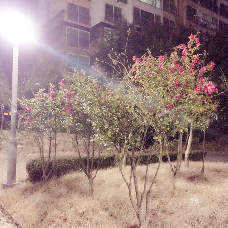  양산 범어 아파트 밤풍경