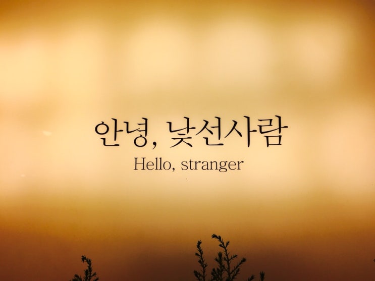  홍대 카페 안녕 낯선사람