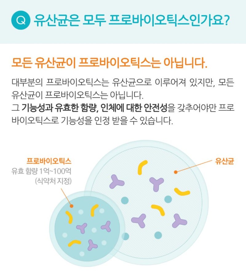 이큐벤플로에버_이탈리아 유산균으로 면역을 기르자! 3