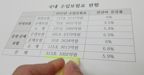  국내 수입보험료 '313조원… 보험료 인상에 소비자 반발 예고