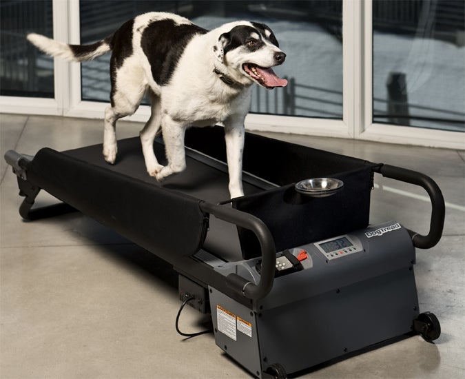 강아지 런닝머신(Treadmill for dog) 만들기 #2 : 네이버 블로그