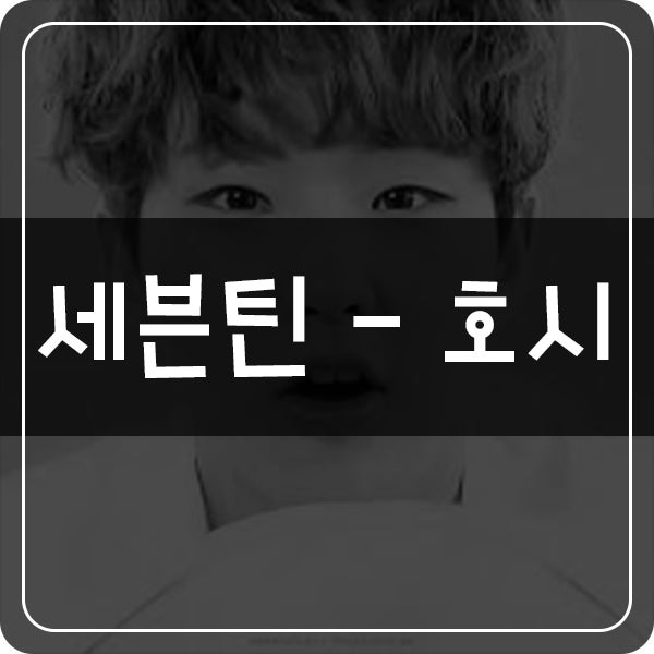 SEVENTEEN ホシ