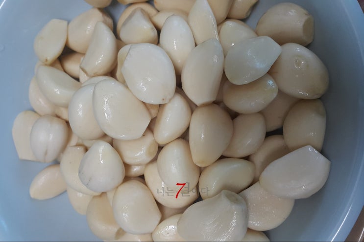  나 김치 담군 여자야~ 김장 김치  첫 도전기