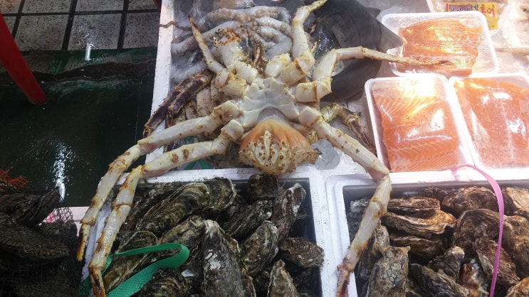  구리 농수산물도매시장 대게