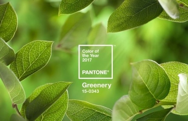  2017 컬러 트렌드 