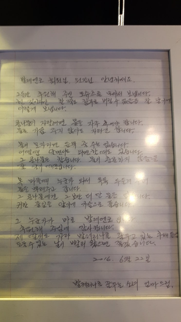  눈물나게 감동적인 어느 발레전공생 부모의 편지 1통