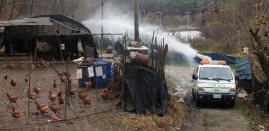 조류독감 피해농가, 가축재해보험 보상은 못 받아 조류독감 피해농가, 가축재해보험 보상은 못 받아