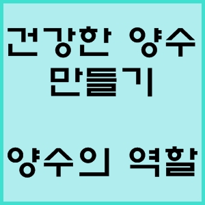  건강한 양수 만들기, 양수의 역할