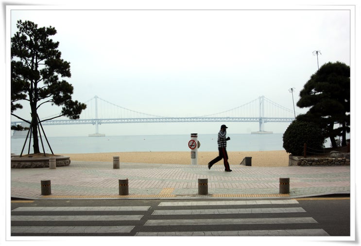  11-12 겨울 내일로 Day.2 부산-영주(2012-02-10)