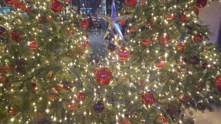  Merry  Christmas~*