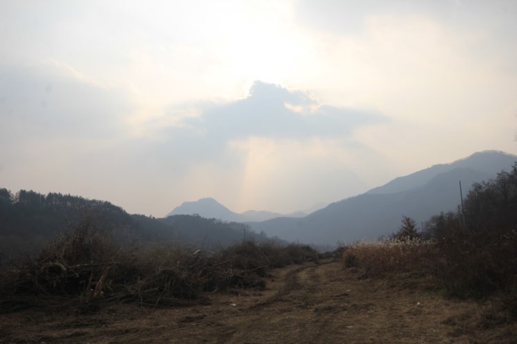 아름다운 영동군 양산면 금강 지류 전경