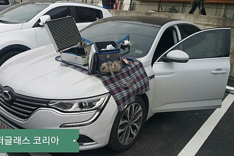 통진차유리 이미지