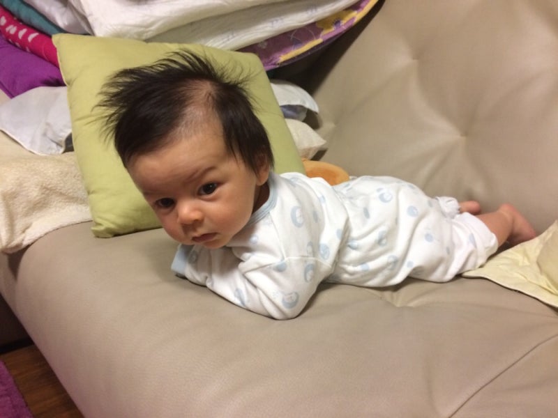 <생후 82일> 통통한 굵기 3