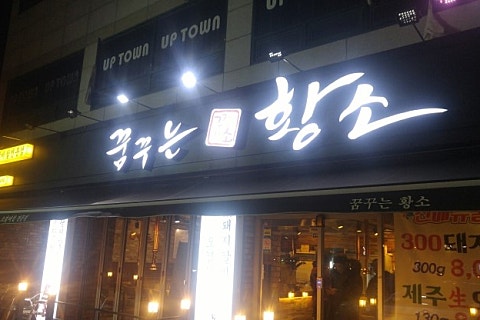 꿈꾸는황소 이미지