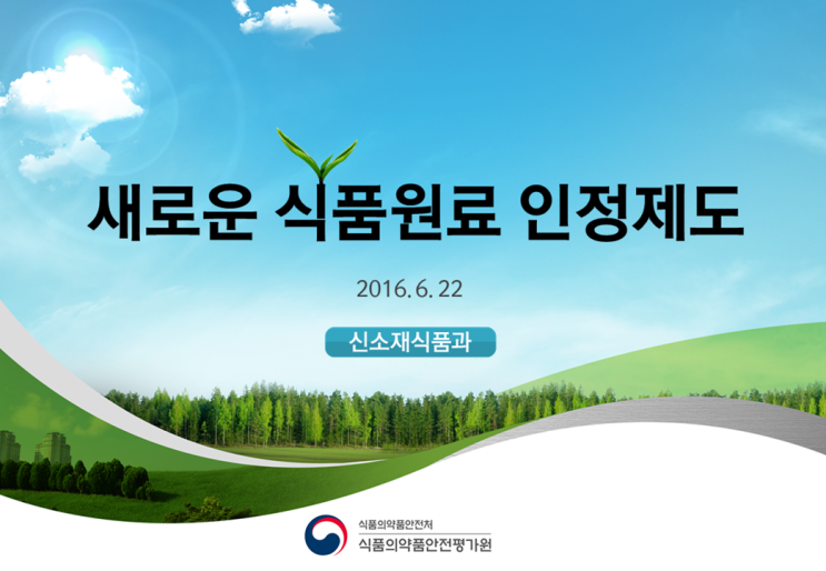  [식약처]식품의약품안전평가원 관공서 발표 피피티 자료 작업