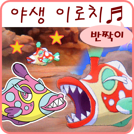 포켓몬스터 썬문 이로치 치갈기, 모래꿍, 잉어킹~