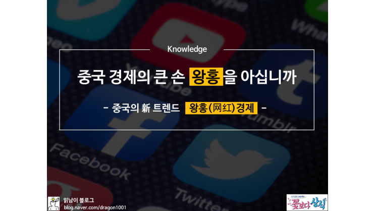  [카드뉴스] '왕홍' 그들은 누구인가?