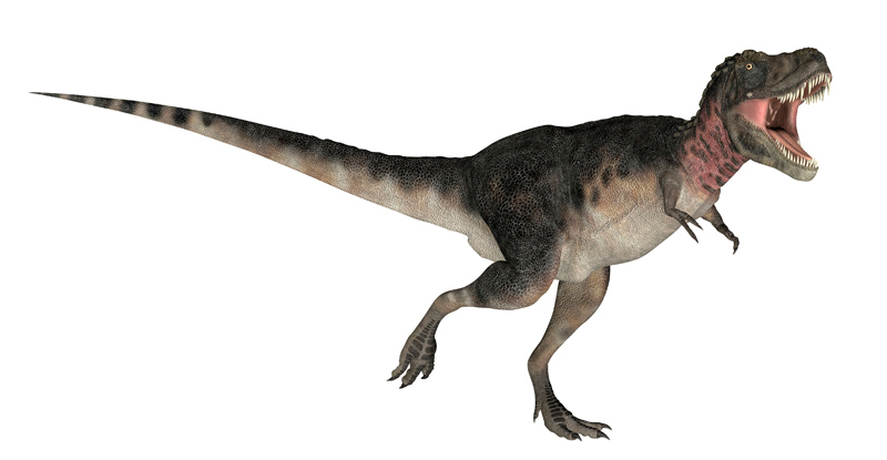 육식공룡 종류 제대로 알기! : 네이버 블로그