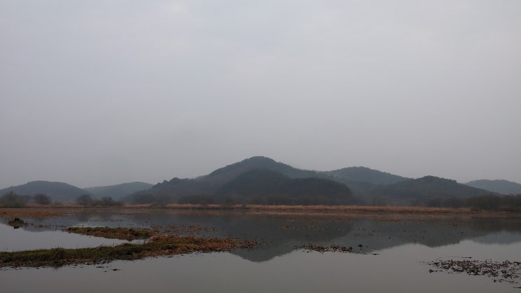 이른 새벽녘 마주한 풍경, 창녕 우포늪에서 우포늪 여행기