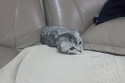 예쁘다움 이미지