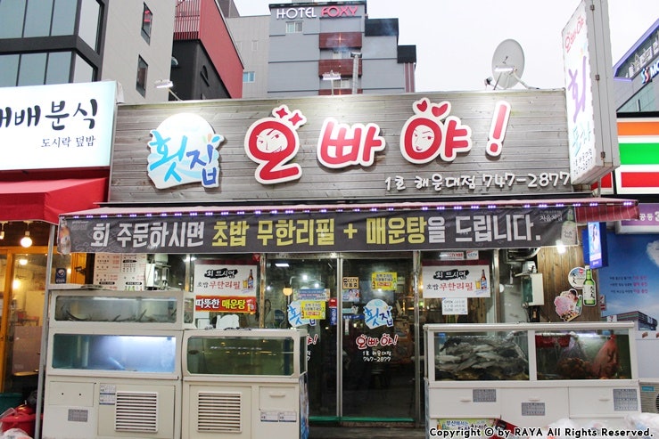 (해운대횟집추천 해운대횟집) 오빠야 횟집